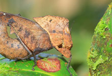 Day 8 itinerary in pic