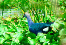 Day 9 itinerary in pic